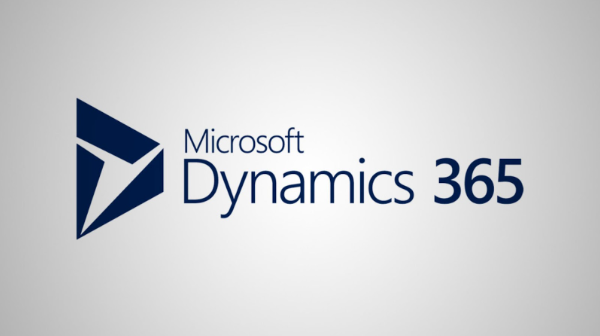 Microsoft Dynamics Partners: What They Bring To ERP Success