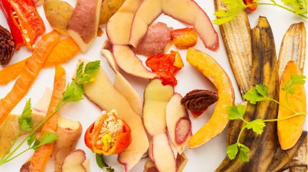 What Is Green Waste and Why Garden Care Depends on It