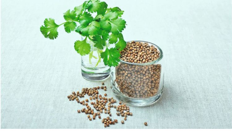 Koriandri: The Ultimate Guide to Benefits, Uses, and Health Impact